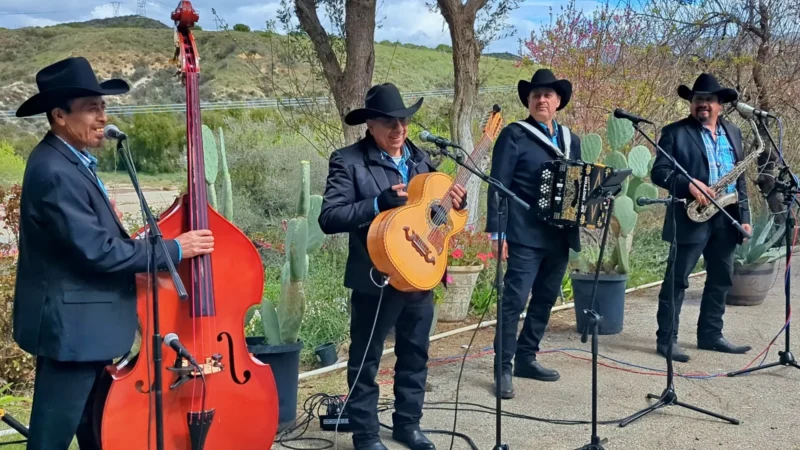 Música Norteña Con Tololoche en Orange County CA