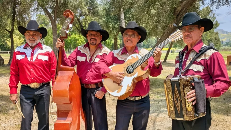 Chirrines Con Tololoche en San Fernando Valley CA