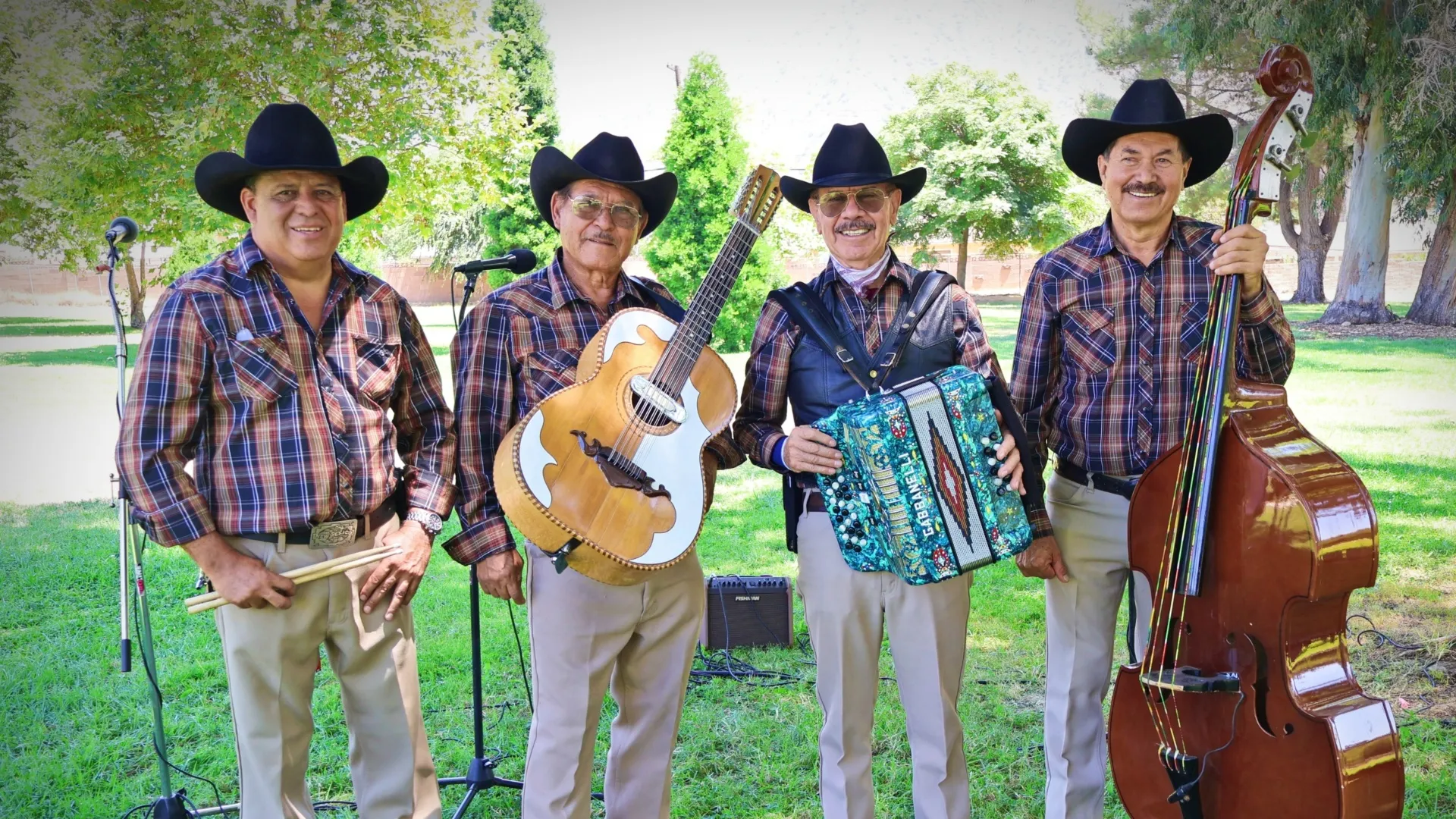 Chirrines Con Tololoche – Visión de presencia digital